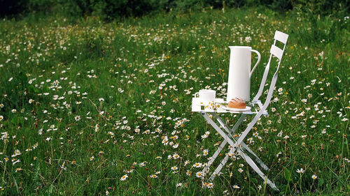 Among the chamomile lawn stands a white chair. on it there is a composition of a white jug, 