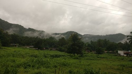 Scenic view of landscape against sky