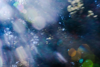 Defocused image of trees