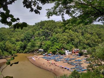 Swimming pool by trees against sky