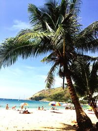 Scenic view of beach against blue sky