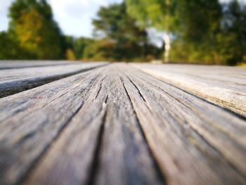 Close-up of wooden bench