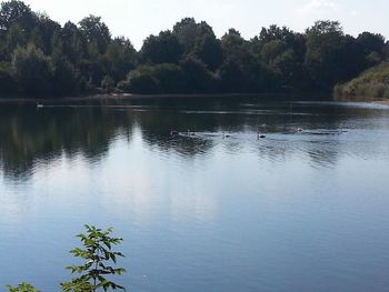 Scenic view of lake in forest against sky