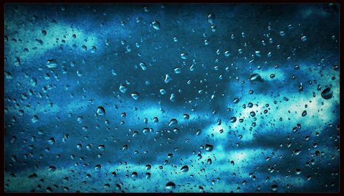 Close-up of water drops on leaf