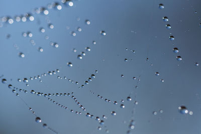 Close-up of water drops on spider web against sky