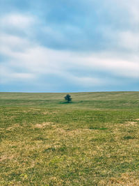 Scenic view of field against sky