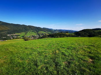 Scenic view of field against sky