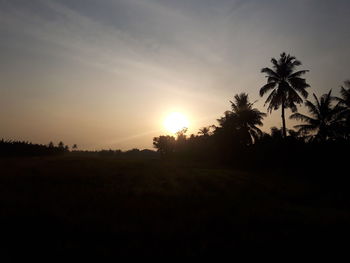 Scenic view of field against sky during sunset