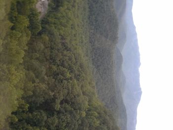 Scenic view of tree mountains against sky