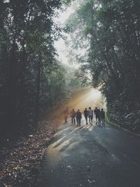 Rear view of friends walking on road in forest