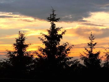 Low angle view of silhouette trees against sky during sunset
