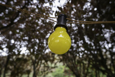 Low angle view of illuminated light bulb