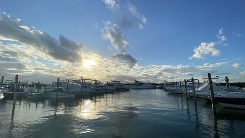 Sailboats moored in harbor at sunset