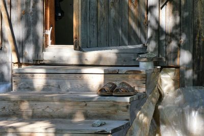 View of an animal in old building