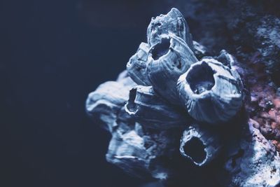 Close-up of a sculpture