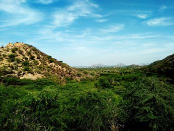 Scenic view of agricultural field against sky