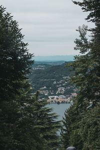 Scenic view of river and trees against sky