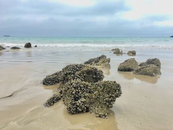 View of rocks on beach against sky