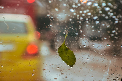 Close-up of raindrops on glass window