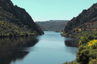 Scenic view of river against clear sky