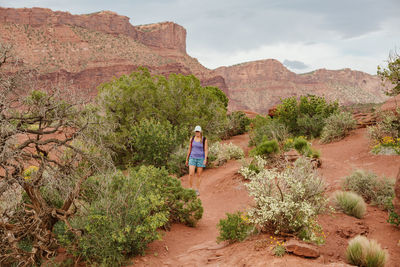 Hiker walks on red dirt path amongst desert plants near moab utah