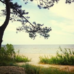 Scenic view of sea against sky