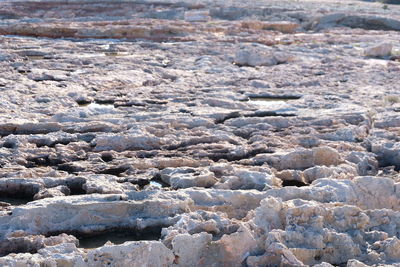 Full frame shot of rocks on beach