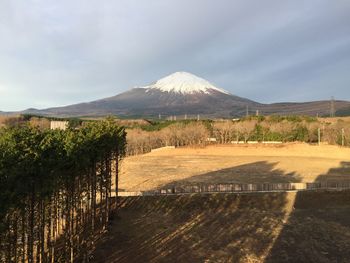 Scenic view of landscape against sky