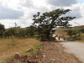 Trees on road by landscape against sky