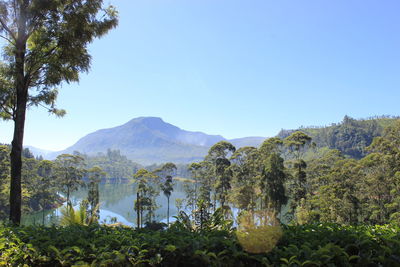 Scenic view of mountains against clear blue sky