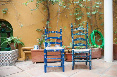 Potted plants in the room