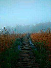 Boardwalk amidst plants on field against sky