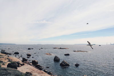Birds flying over sea against sky