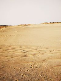 Scenic view of desert