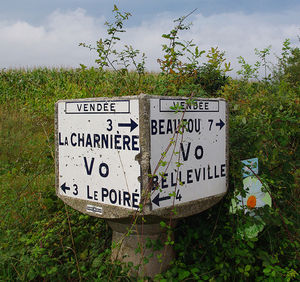 Information sign on tree trunk