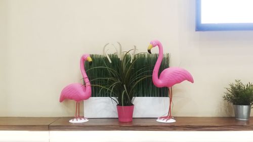 Close-up of pink flower vase on potted plant at home