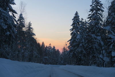 Snow covered land and trees against sky during sunset