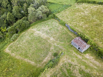 High angle view of fresh green landscape