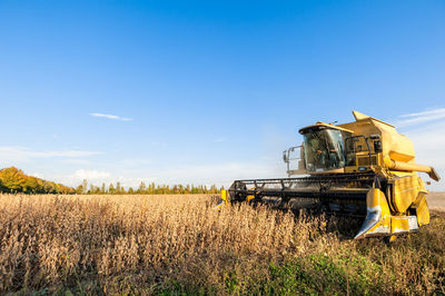 View of wheat field against blue sky