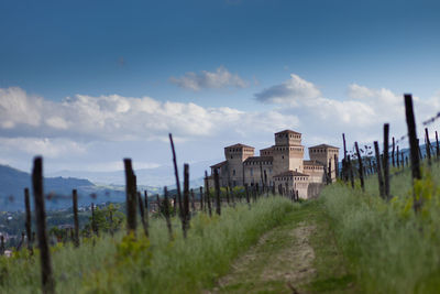Panoramic shot of grass against sky