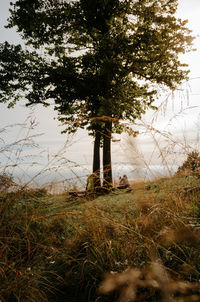 Trees on field against sky