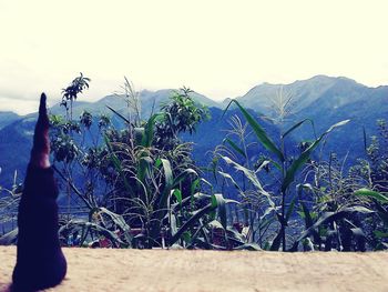 Scenic view of mountains against clear sky