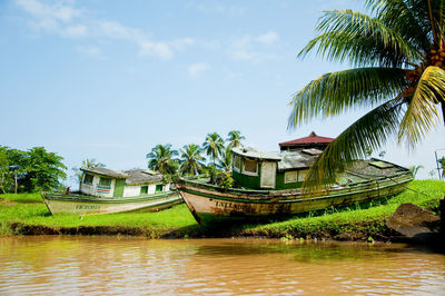 Panoramic view of palm trees against sky