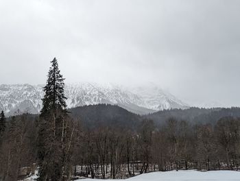 snow