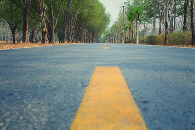 Surface level of empty road along trees