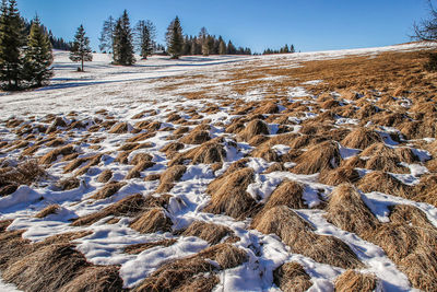 Scenic view of snow covered field against sky