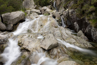 Scenic view of waterfall in forest