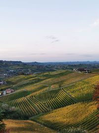 High angle view of agricultural field against sky