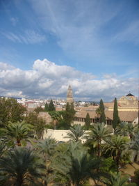 High angle view of palm trees against cloudy sky