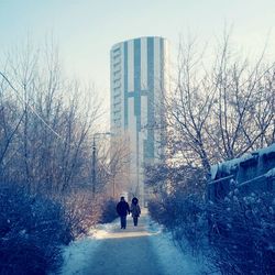 Bare trees in front of building